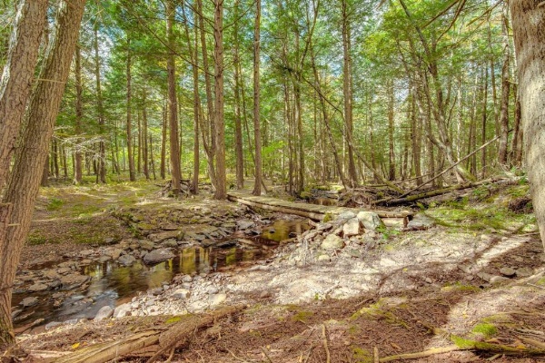 Spacious and Secluded Forksville Home Fire Pit image 21